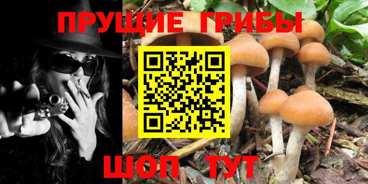Тольятти  Псилоцибиновые грибы Magic Shrooms  Вход с VPN  Псилоцибиновые грибы мицелий 
