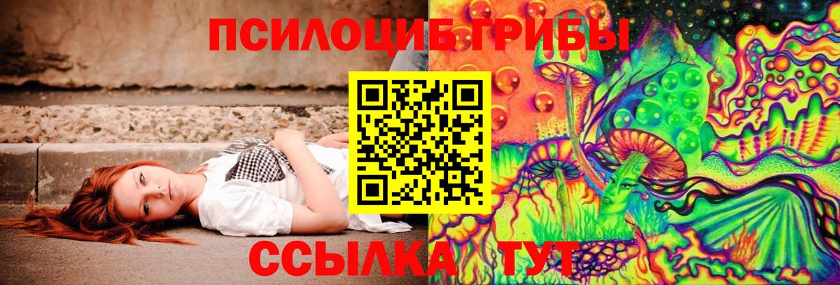 Псилоцибиновые грибы Psilocybe Тольятти